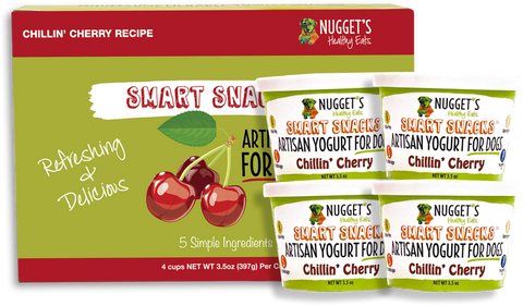 Nugget's - Frozen Smart Snack Artisan Yogurt Chillin Cherry Treat (Hillsborough County FL Delivery Only)