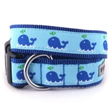 The Worthy Dog - Squirt Collar