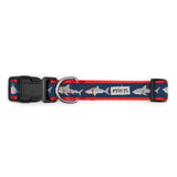 The Worthy Dog - Jaws Collar