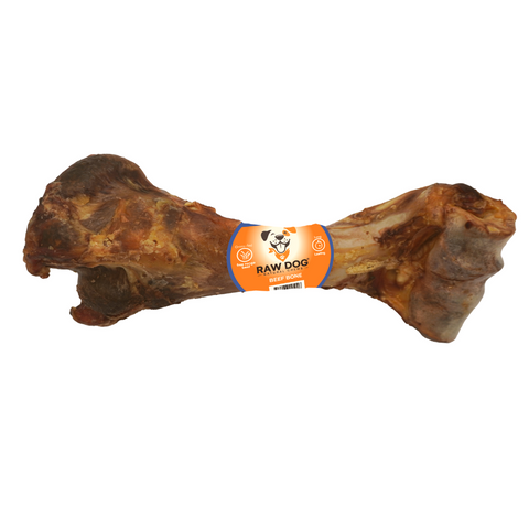 Raw Dog - Beef Humerous Bone