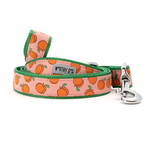 The Worthy Dog - Peachy Keen Lead