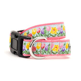 The Worthy Dog - Hello Spring Collar