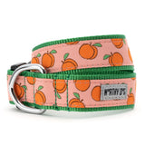 The Worthy Dog - Peachy Keen Collar