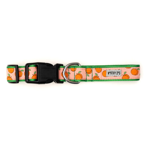 The Worthy Dog - Peachy Keen Collar