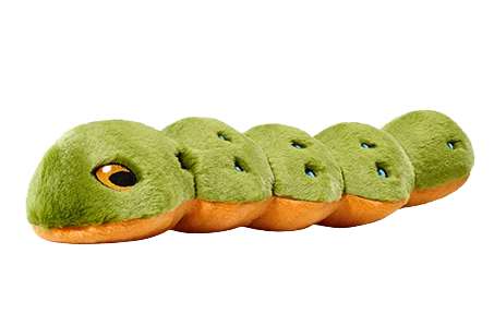 Fluff & Tuff - Katie the Caterpillar Toy