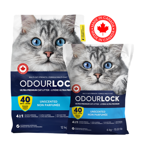 Intersand - Odor Lock Cat Litter - Various Sizes