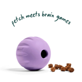 Woof - Forager Flyball Single