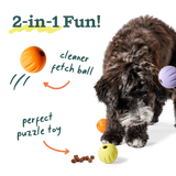 Woof - Forager Flyball Single