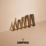 Canophera - Red Deer Antler Whole