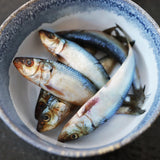 Oma's Pride - Frozen Whole Sardines (Local Delivery Only)