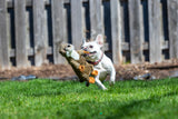 Fluff & Tuff - Harry the Otter Toy